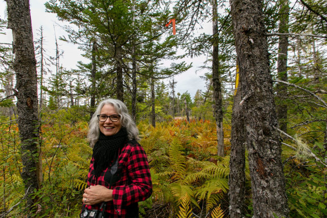 Golden Lake Estates Ltd. - Immobilien in Kanada