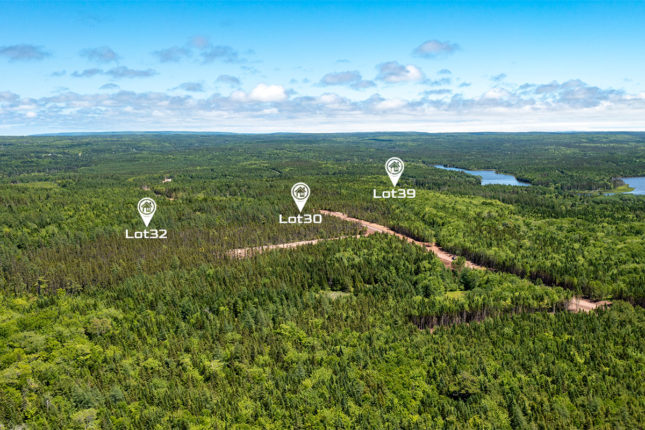 Beaver Lodge Estates Phase II – Immobilien in Kanada