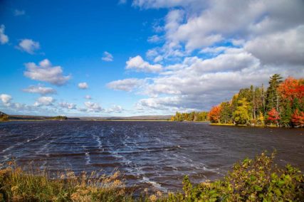 Golden Lake Estates Ltd. - Immobilien in Kanada