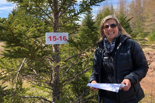 Golden Lake Estates Ltd. - Immobilien in Kanada