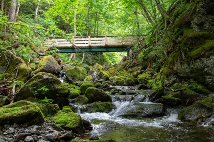 Cape Breton Island - www.goldenlakeestates.com