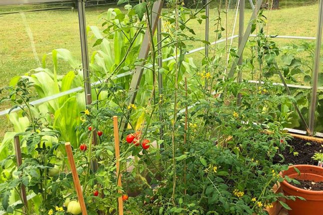 Autarkie Cape Breton Island - www.goldenlakeestates.com