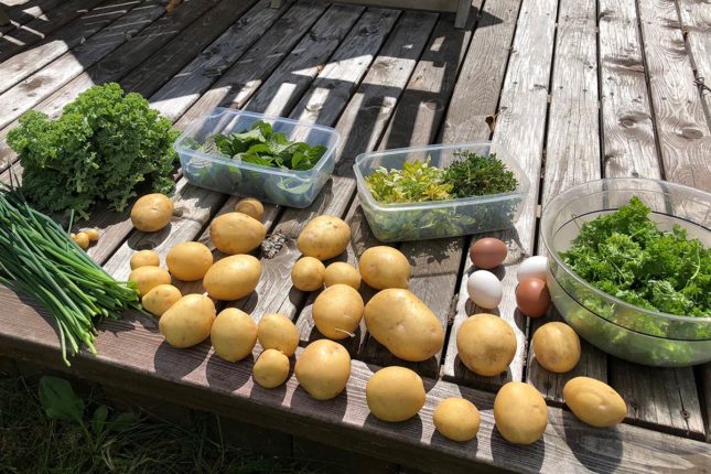 Autarkie Cape Breton Island - www.goldenlakeestates.com