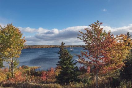 Ausblick auf dem See - www.goldenlakeestates.com