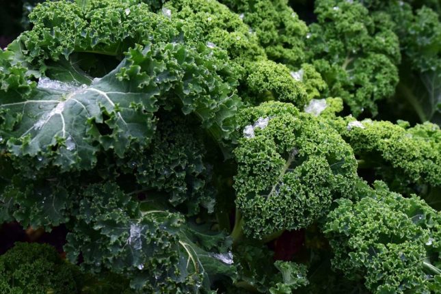 Autarkie Cape Breton Island - www.goldenlakeestates.com