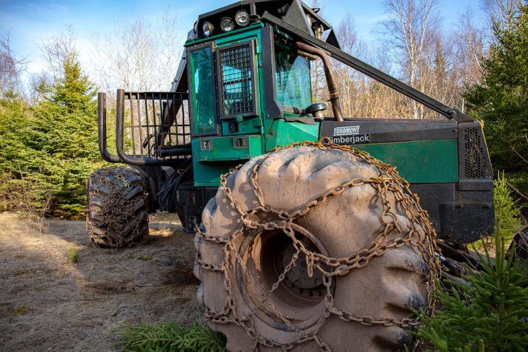 Golden Lake Estates Ltd. - Immobilien in Kanada