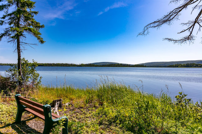 Mountain View Estates - Immobilien in Kanada