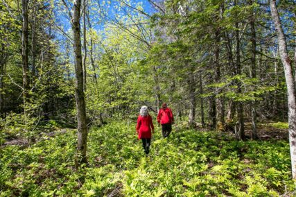 Sunrise Estates Lot7