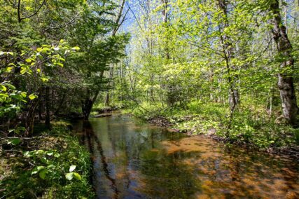 Sunrise Estates Lot 7