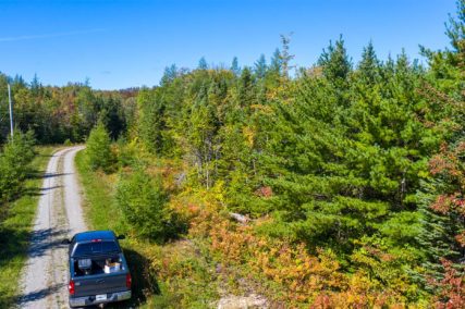 Golden Lake Estates Ltd. - Immobilien in Kanada