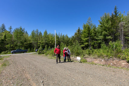 Golden Lake Estates Ltd. - Immobilien in Kanada