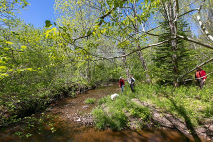 Golden Lake Estates Ltd. - Immobilien in Kanada