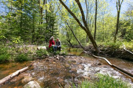 Golden Lake Estates Ltd. - Immobilien in Kanada