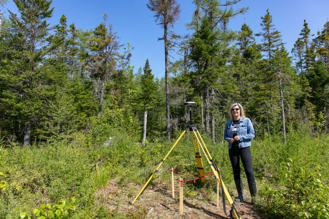 Golden Lake Estates Ltd. - Immobilien in Kanada