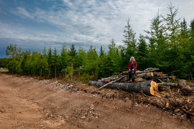 Grundstücke in Kanada -www.immobilien-goldenlake.com