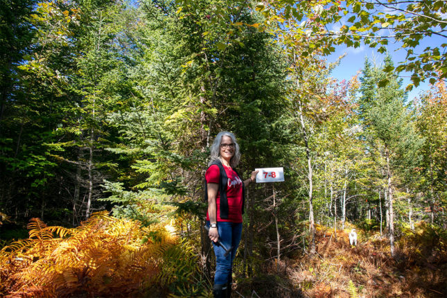Ein kleine private Erschließung mit 8 Grundstücken in Cape Breton Island