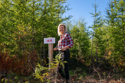 Ein kleine private Erschließung mit 8 Grundstücken in Cape Breton Island