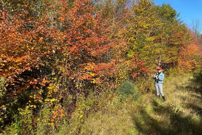 Virtuelle Begehung Ihres Grundstücks in Kanada