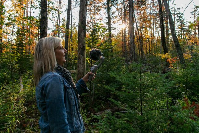 Virtuelle Begehung Ihres Grundstücks in Kanada