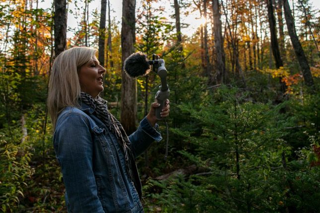 Virtuelle Begehung Ihres Grundstücks in Kanada