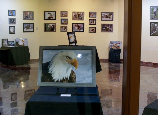 Ausstellung in der J. Franklin Wright Gallery in Port Hawkesbury