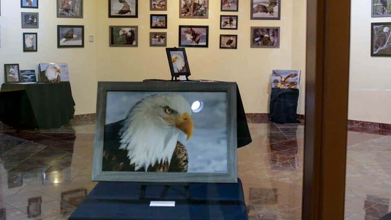 Ausstellung in der J. Franklin Wright Gallery in Port Hawkesbury