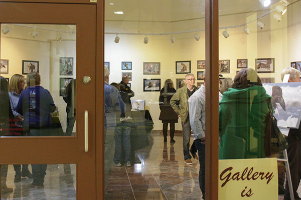 Ausstellung in der J. Franklin Wright Gallery in Port Hawkesbury