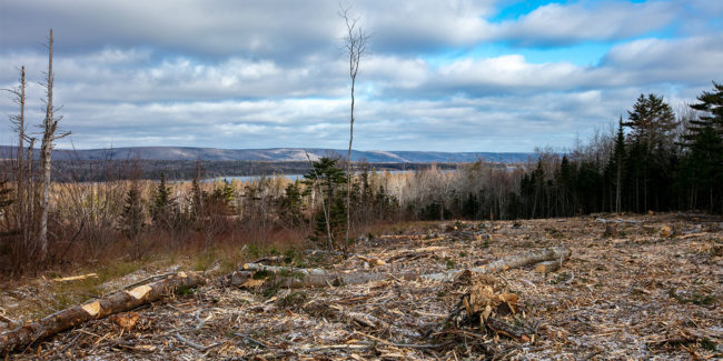 Neue Erschließung West Bay Hills Estates - Immobilien in Cape Breton Island