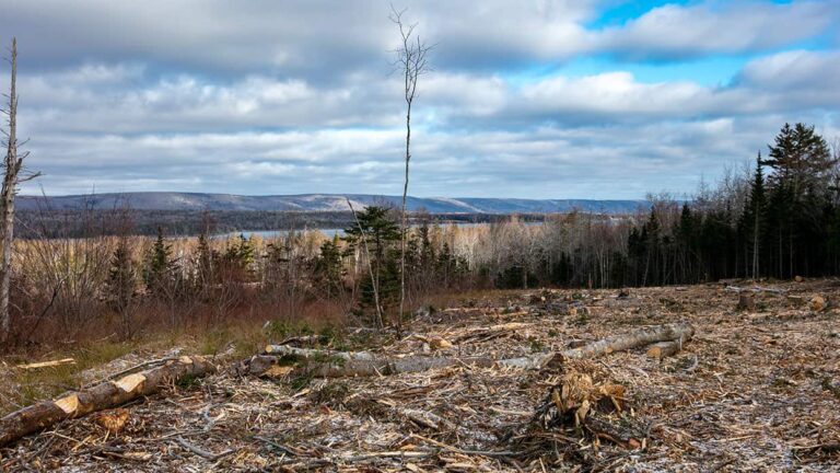 Neue Erschließung West Bay Hills Estates - Immobilien in Cape Breton Island