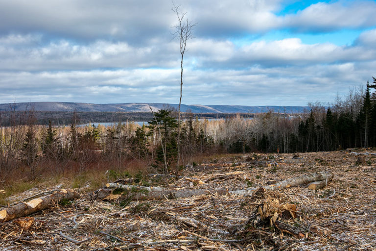 Neue Erschließung West Bay Hills Estates - Immobilien in Cape Breton Island