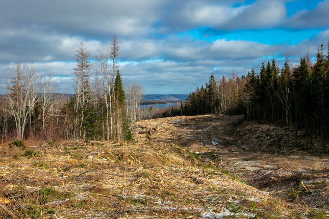 Neue Erschließung West Bay Hills Estates - Immobilien in Cape Breton Island