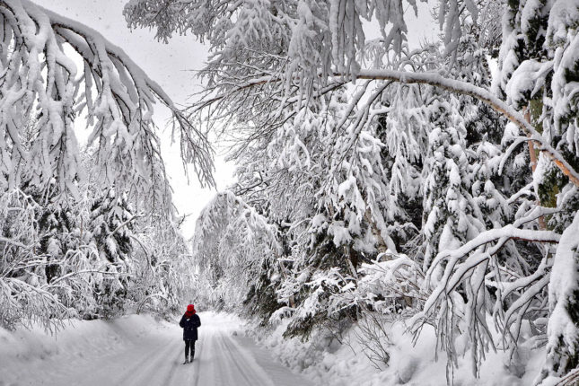 Winter in Kanada - Golden Lake estates Ltd.