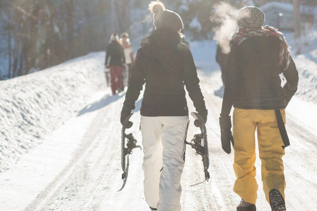 Winter in Kanada - Golden Lake estates Ltd.