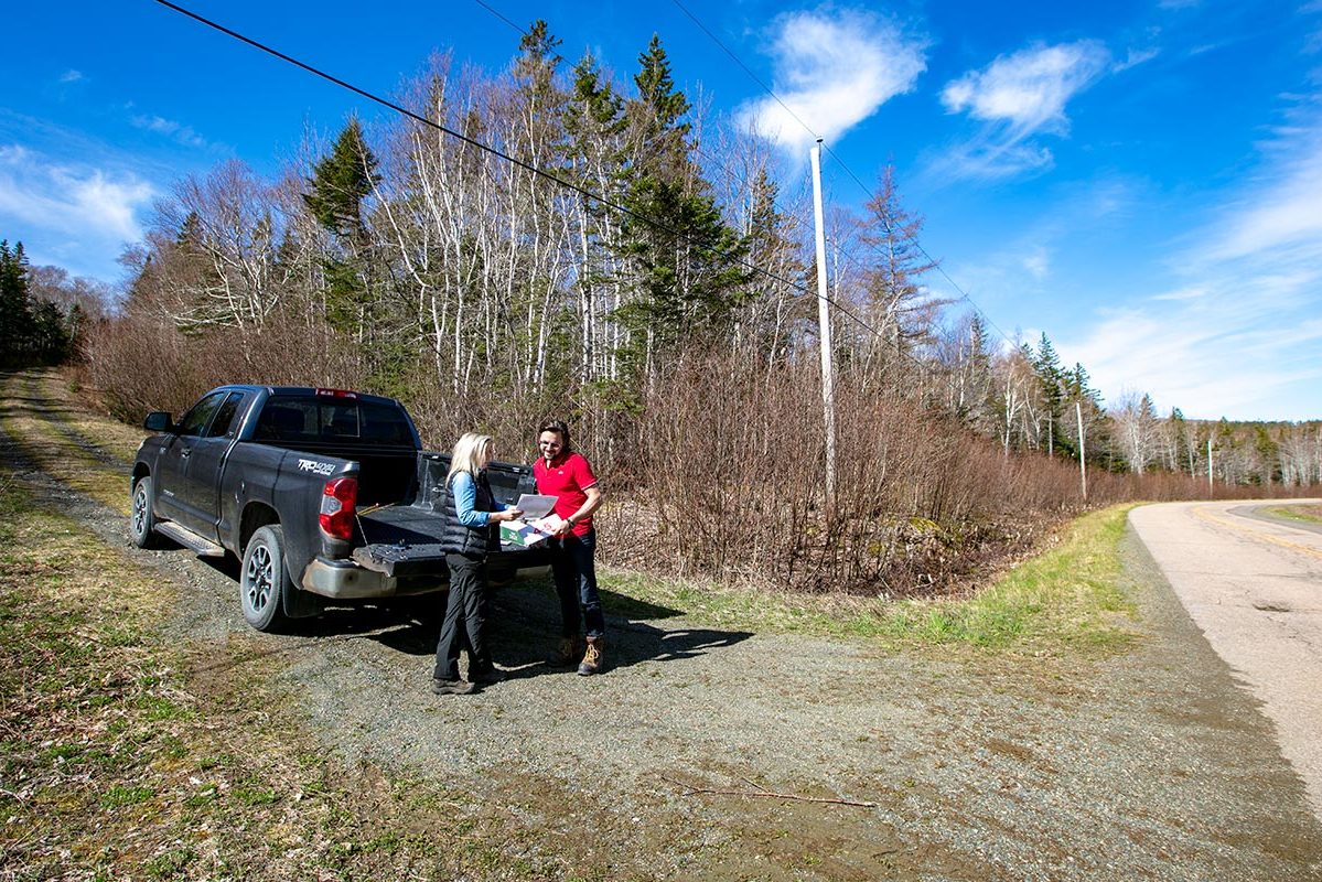 Grundstücke in Kanada -www.immobilien-goldenlake.com