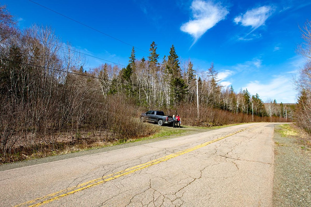 Grundstücke in Kanada -www.immobilien-goldenlake.com