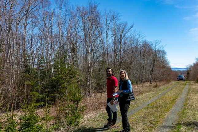 Grundstücke in Kanada -www.immobilien-goldenlake.com