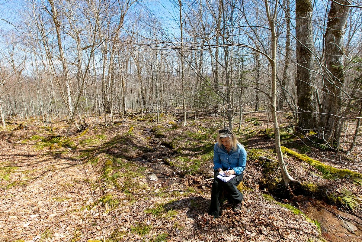 Grundstücke in Kanada -www.immobilien-goldenlake.com