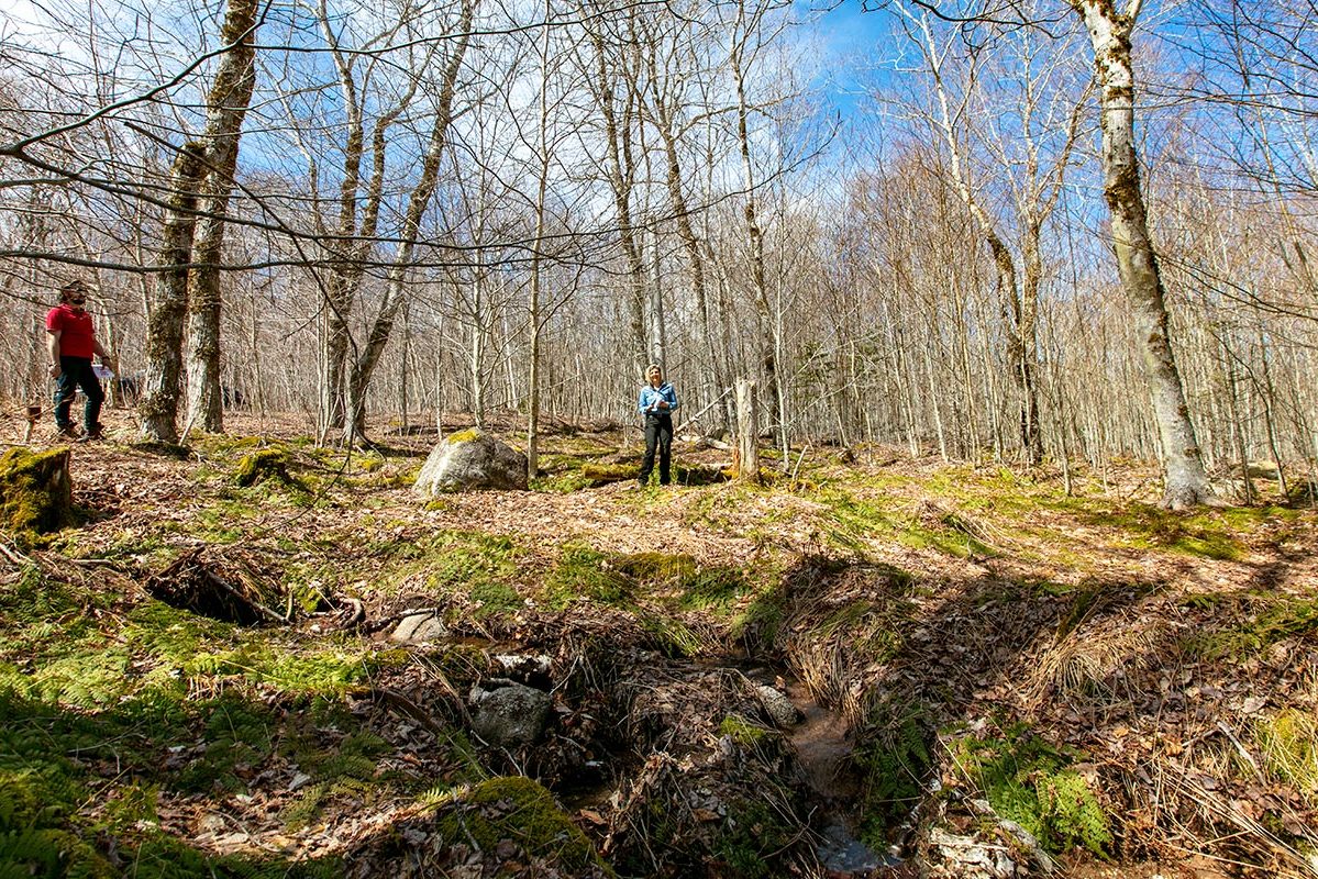 Grundstücke in Kanada -www.immobilien-goldenlake.com