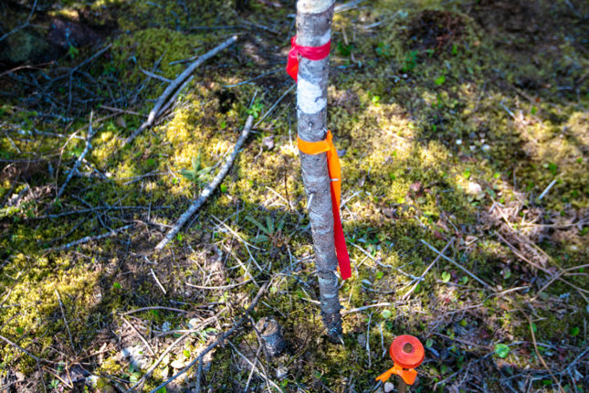 Refugium in Kanada - www.goldenlakeestates.com