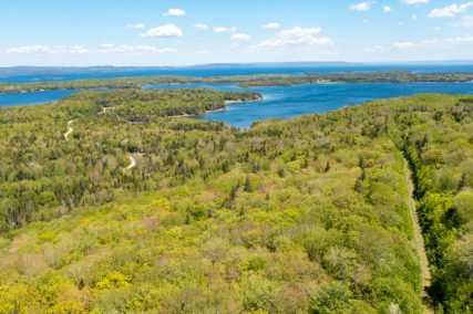 Grundstücke in Kanada -www.immobilien-goldenlake.com
