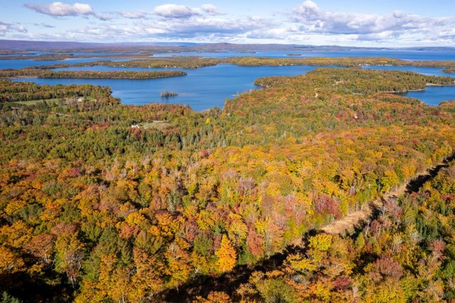 Golden Lake Estates Ltd. - Immobilien in Kanada