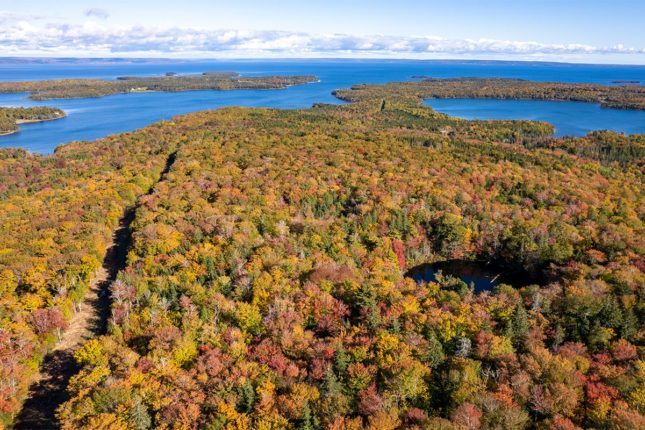 Golden Lake Estates Ltd. - Immobilien in Kanada