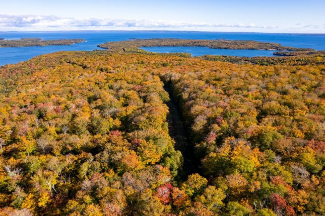 Grundstücke in Kanada -www.immobilien-goldenlake.com