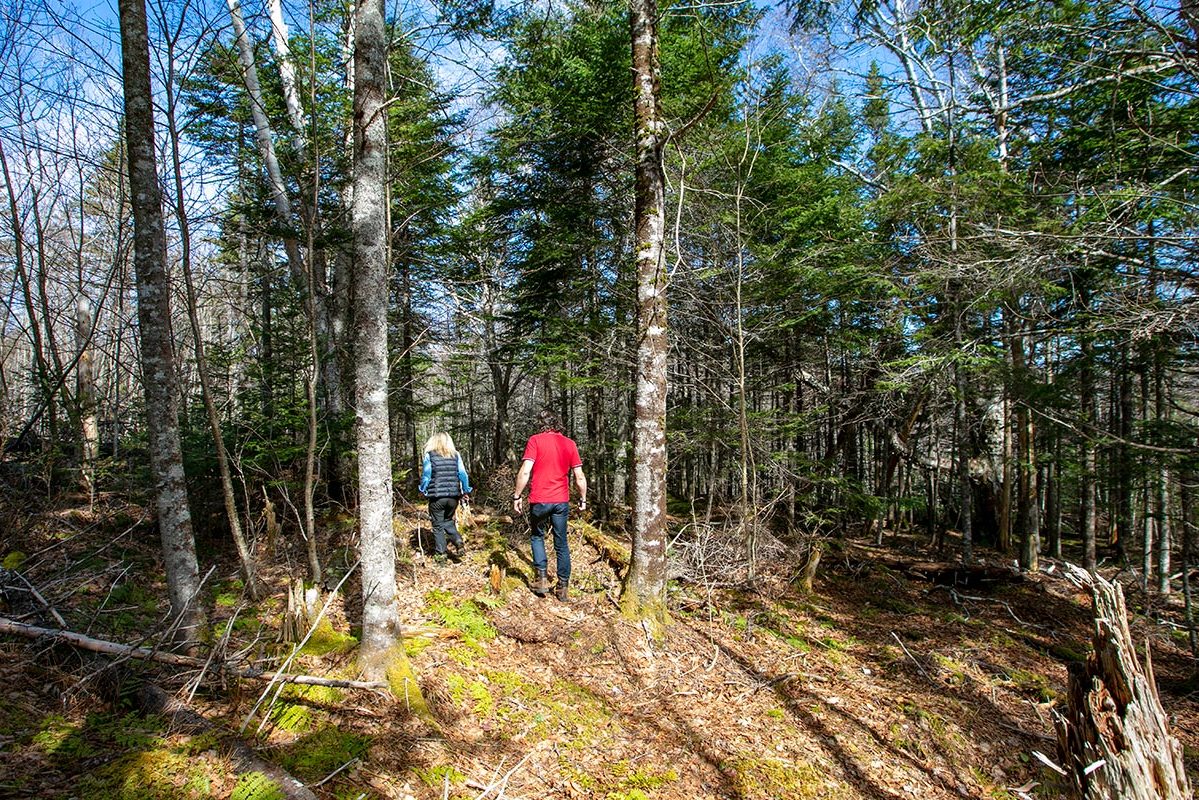 Grundstücke in Kanada -www.immobilien-goldenlake.com