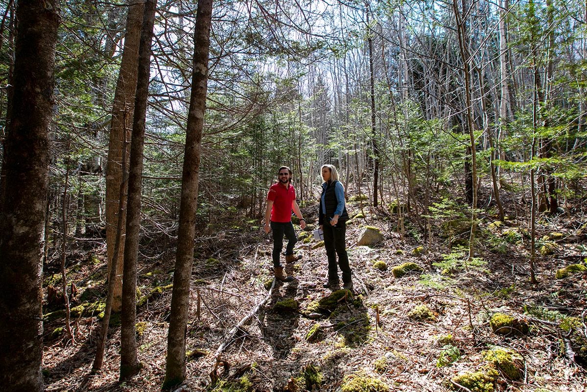 Grundstücke in Kanada -www.immobilien-goldenlake.com