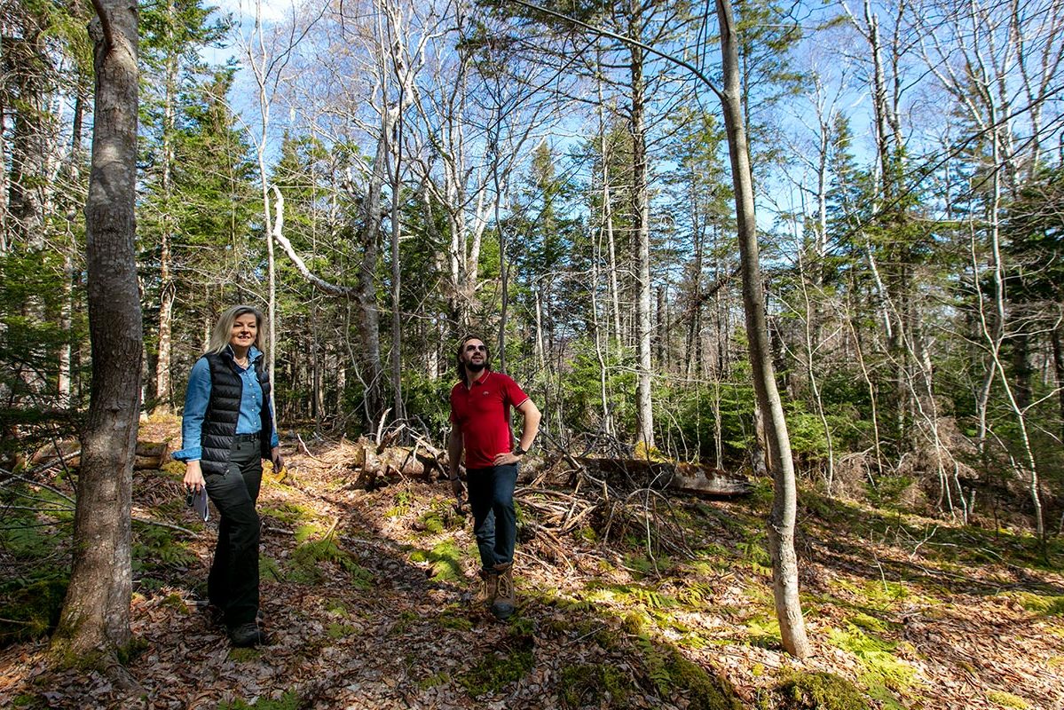 Grundstücke in Kanada -www.immobilien-goldenlake.com