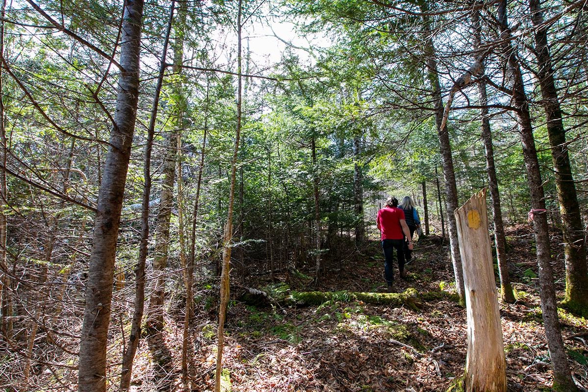 Grundstücke in Kanada -www.immobilien-goldenlake.com