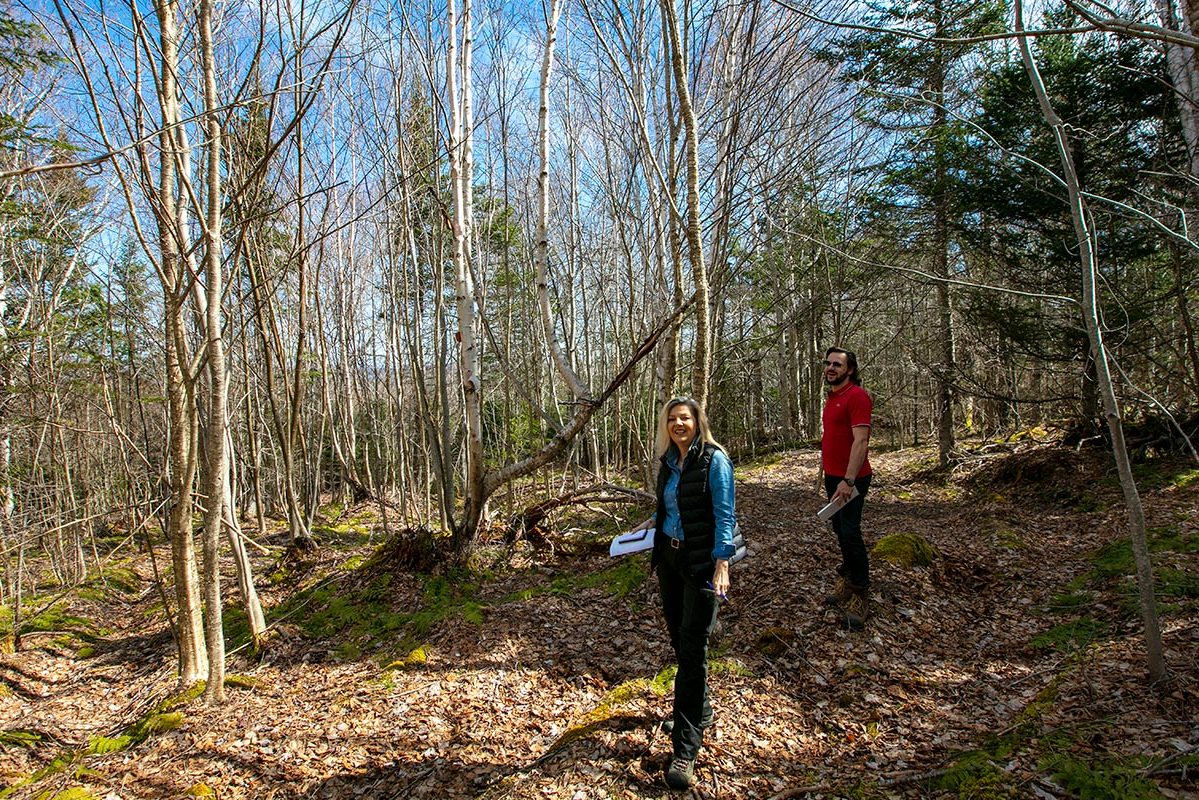 Grundstücke in Kanada -www.immobilien-goldenlake.com