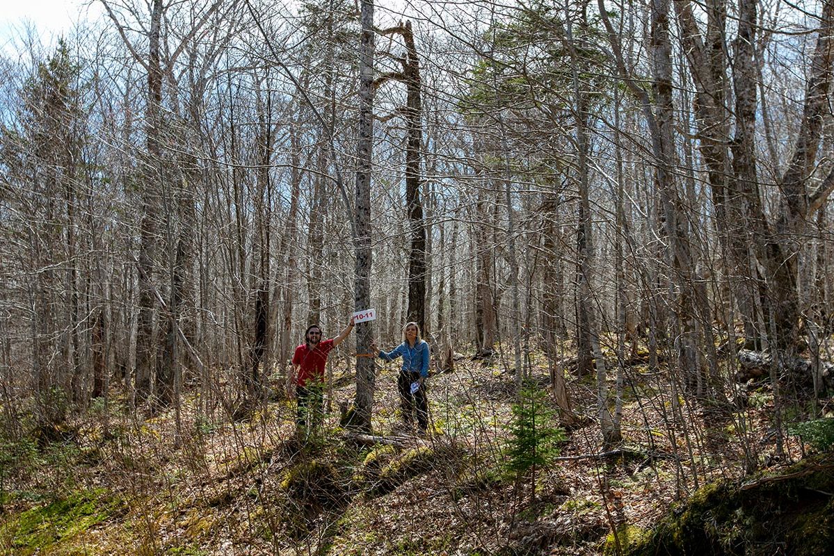 Grundstücke in Kanada -www.immobilien-goldenlake.com