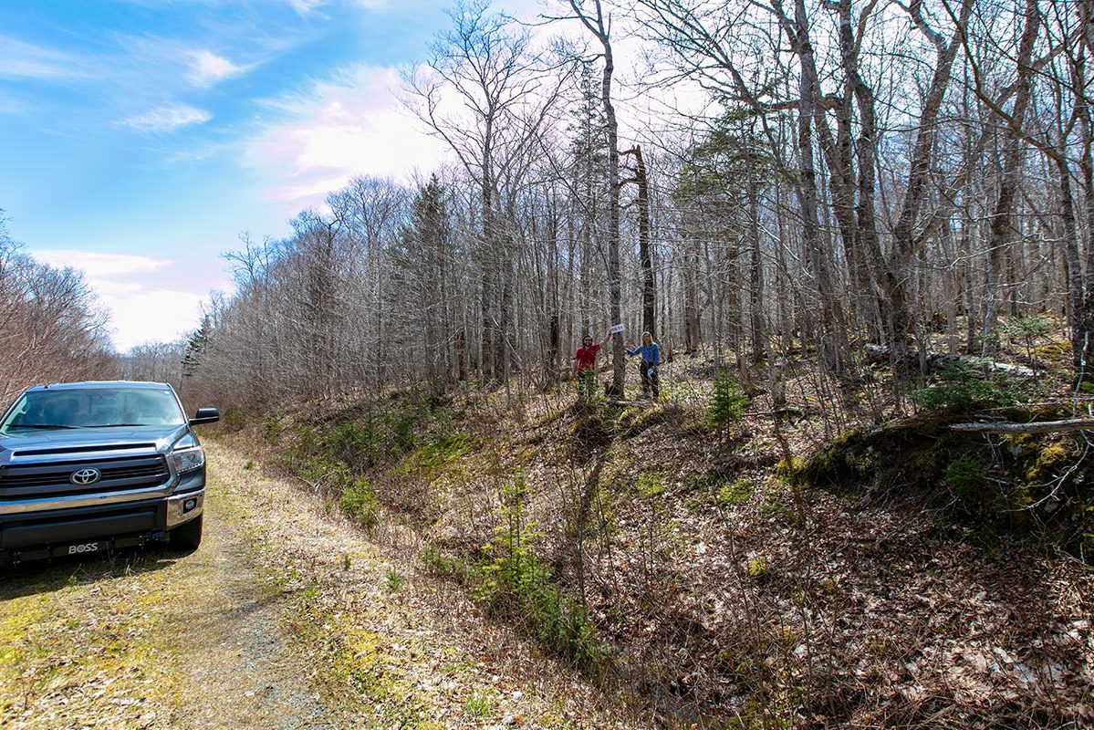 Grundstücke in Kanada -www.immobilien-goldenlake.com